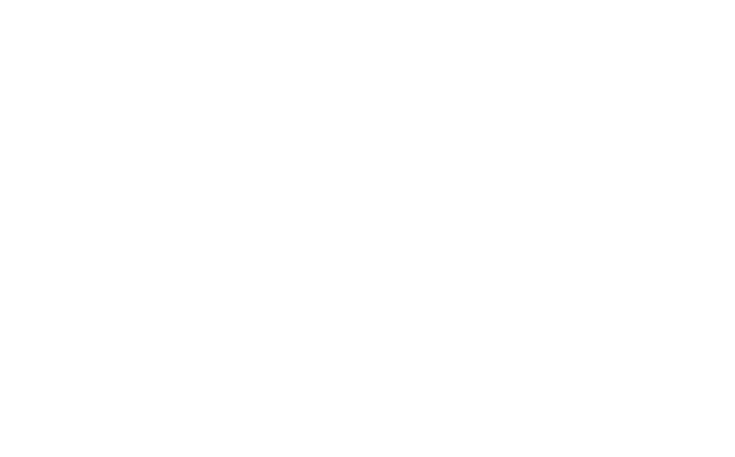ISM logo